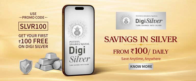 digi silver